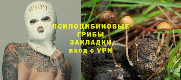 соль ск Навашино