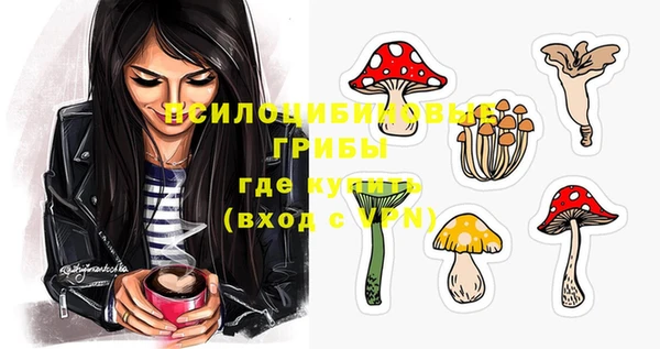 соль ск Навашино