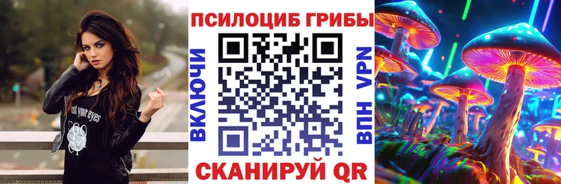 Галлюциногенные грибы мицелий  маркетплейс телеграм  Нытва  kraken вход 